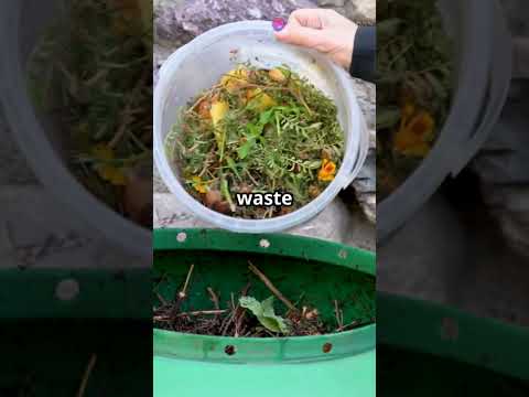 Biodegradable Polymers: The Future of Sustainability! #sciencefather #fiberreinforcedpolymer