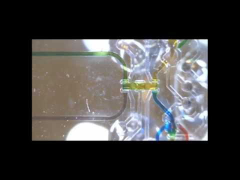 An automated optofluidic biosensor platform combining...