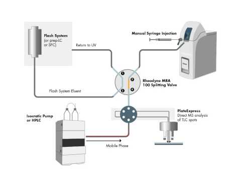 Direct Injection Analysis on expression Compact Mass Spectrometer